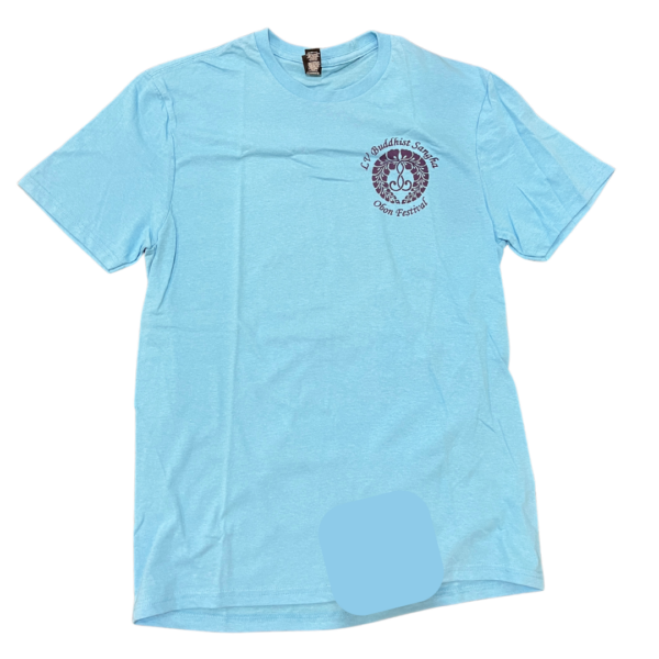 LVBS Teal Tee - Image 2